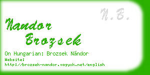 nandor brozsek business card
